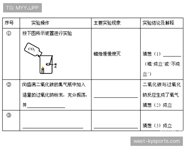 篮球规则中身体接触容忍度如何判定？新手入门教学解读